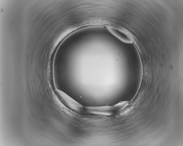 X0000060741147200511141126