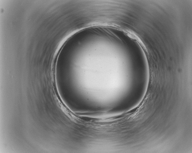 X0000060741148200511141126