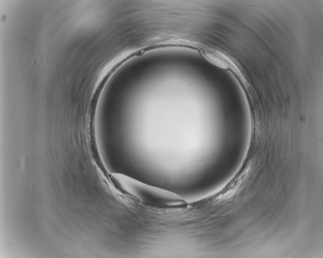 X0000060741149200511141126