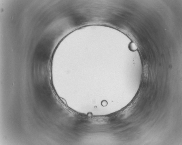 X0000060741150200511141126