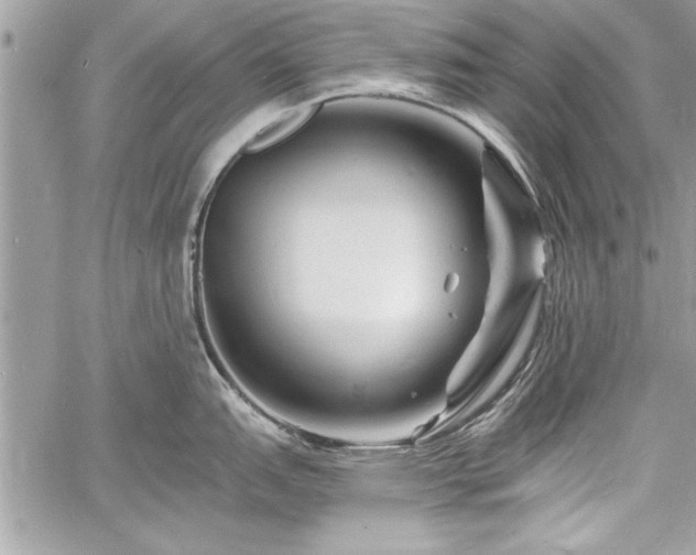 X0000060741151200511141126