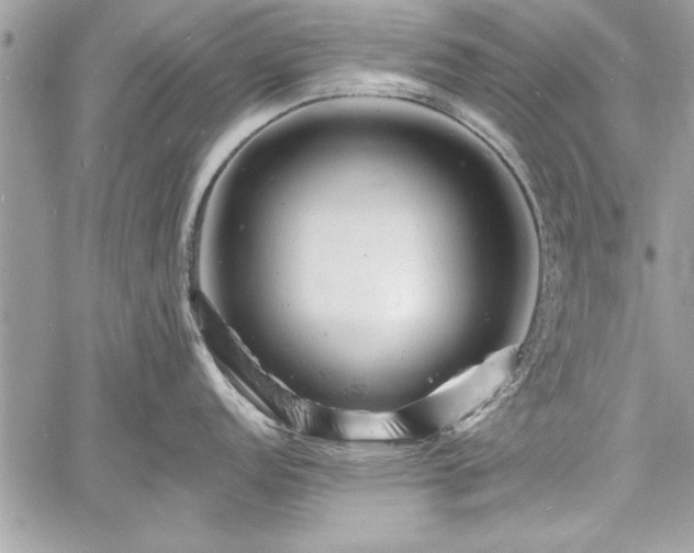 X0000060741152200511141126