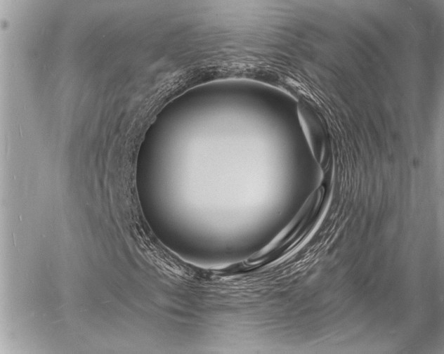 X0000060741153200511141125