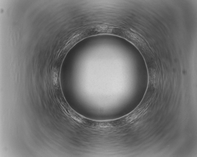 X0000060741154200511141125