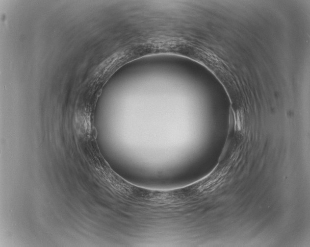 X0000060741155200511141125