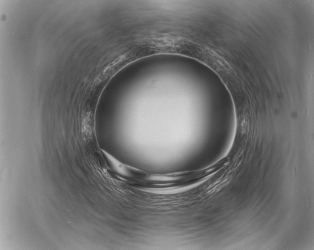 X0000060741156200511141125