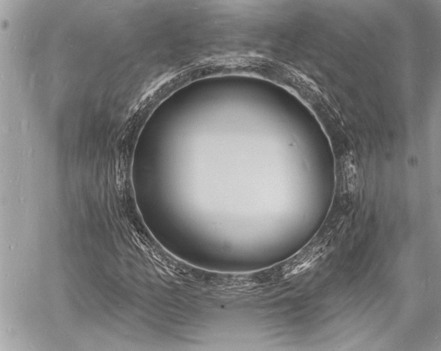 X0000060741158200511141125