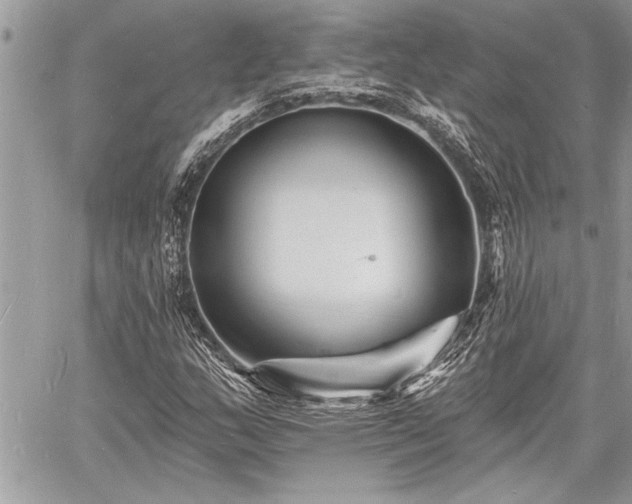 X0000060741159200511141125