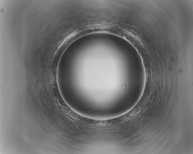 X0000060741160200511141125