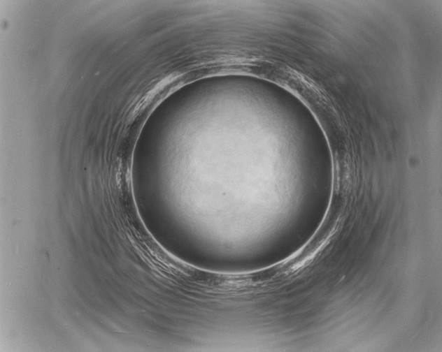 X0000060741161200511141125