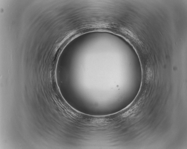 X0000060741162200511141125