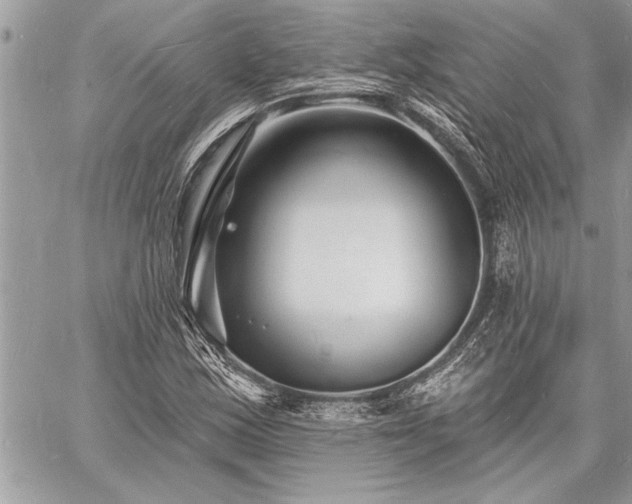 X0000060741163200511141125