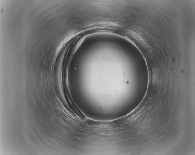 X0000060741164200511141125