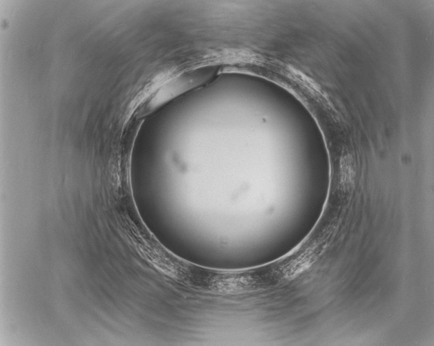 X0000060741165200511141125