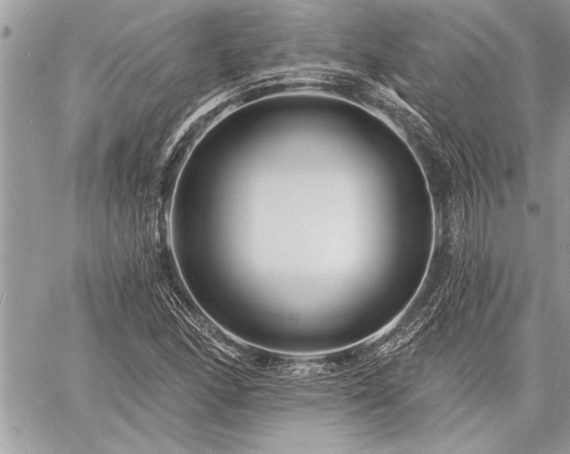 X0000060741166200511141125