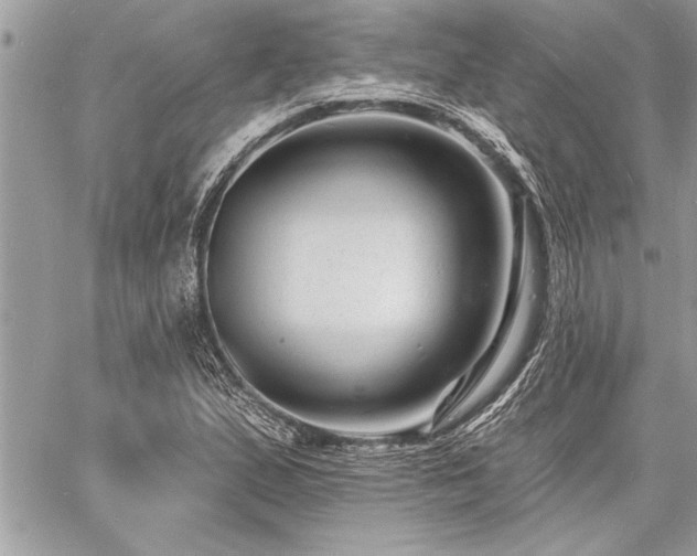 X0000060741167200511141125