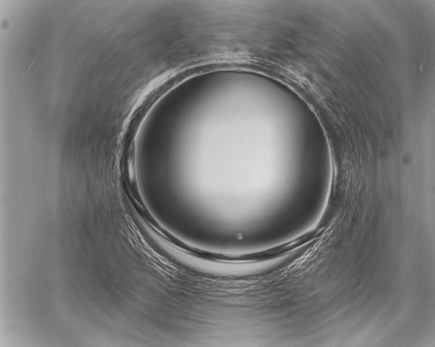 X0000060741168200511141125