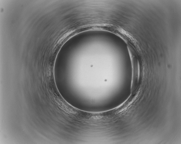 X0000060741169200511141125