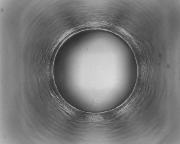 X0000060741170200511141125