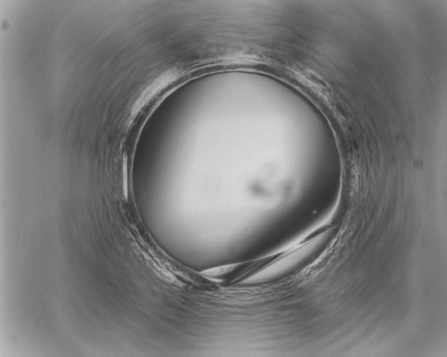 X0000060741171200511141125