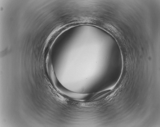 X0000060741172200511141125