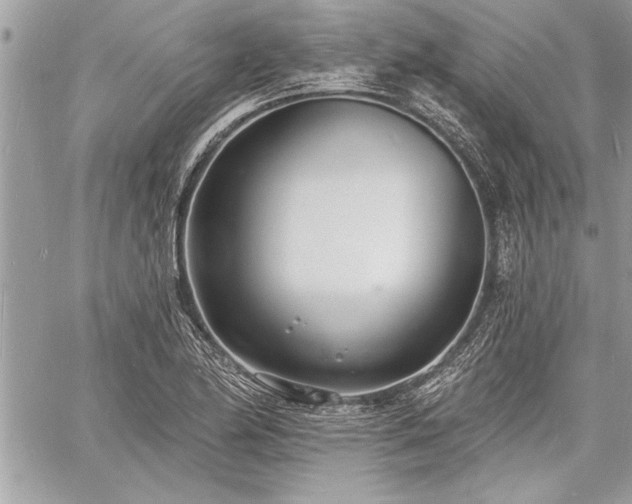 X0000060741174200511141125