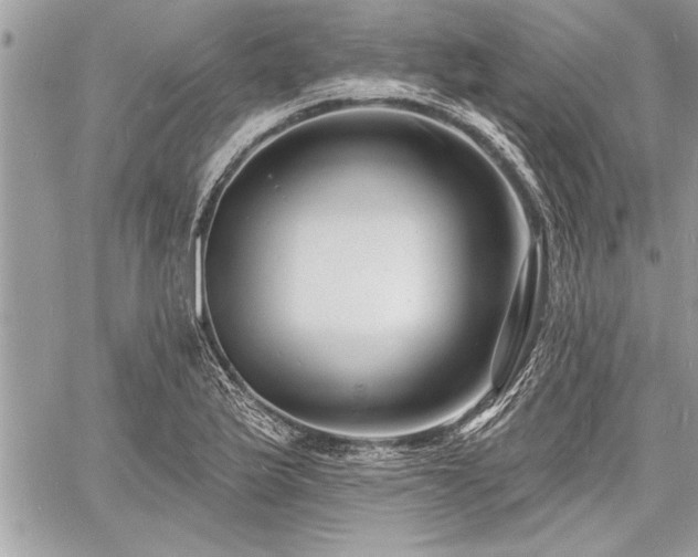 X0000060741175200511141125