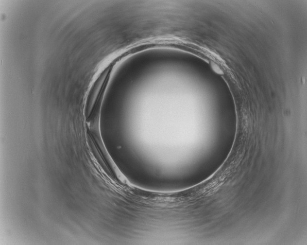 X0000060741176200511141125