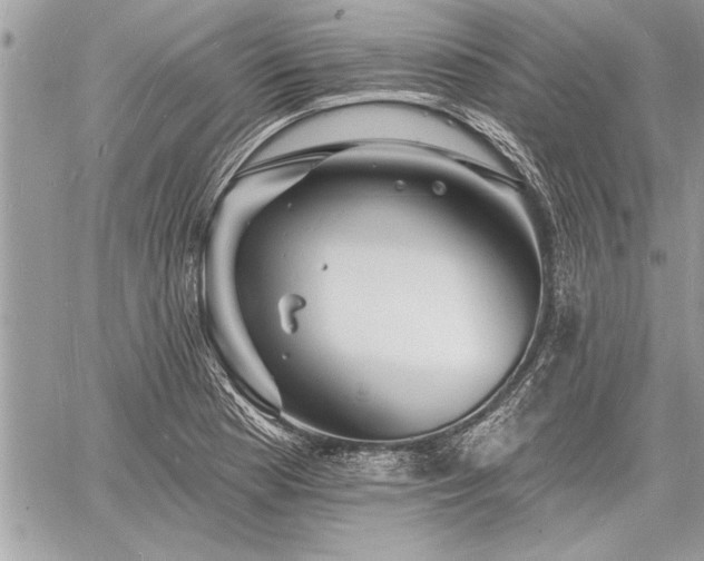 X0000060741177200511141125