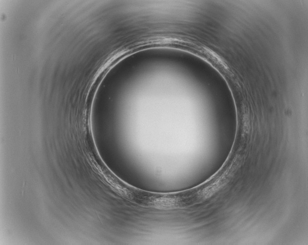 X0000060741178200511141125