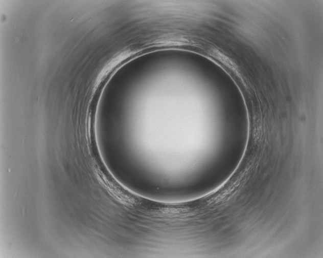 X0000060741179200511141125