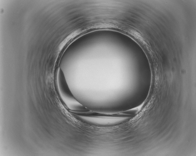 X0000060741181200511141125