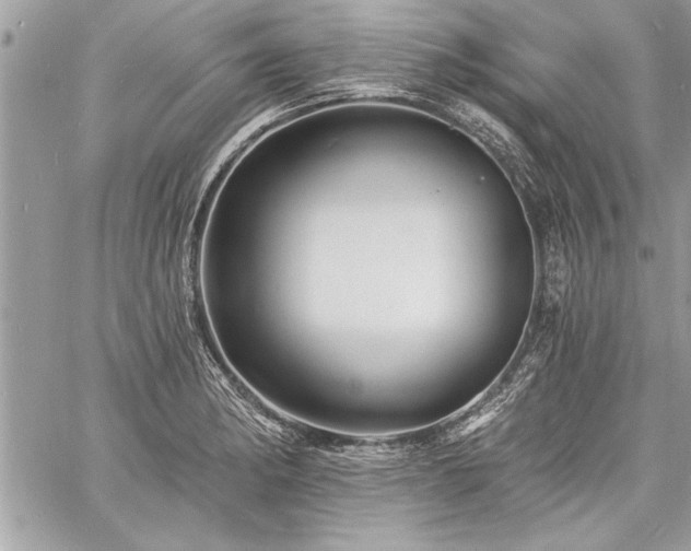 X0000060741182200511141125