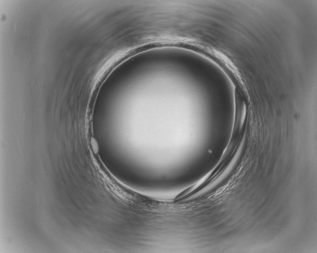 X0000060741183200511141125