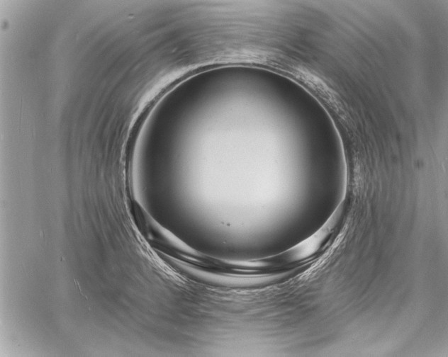 X0000060741184200511141125