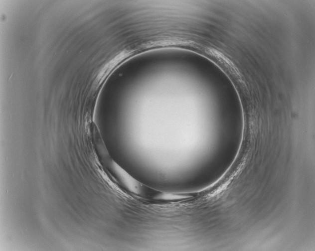 X0000060741185200511141125