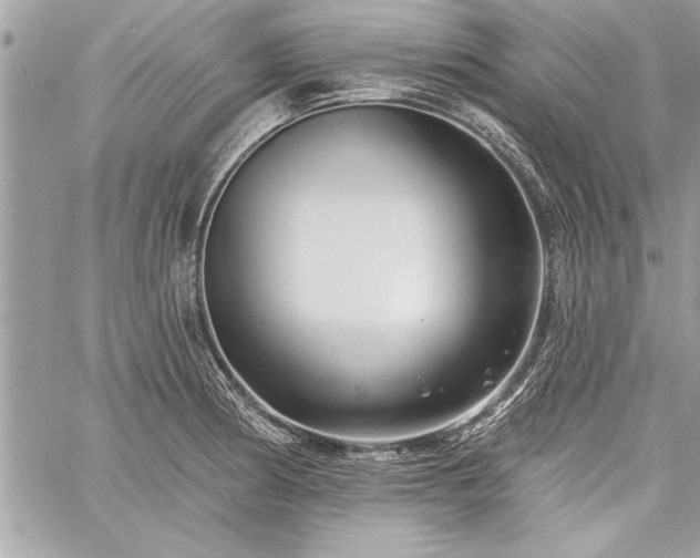 X0000060741186200511141125