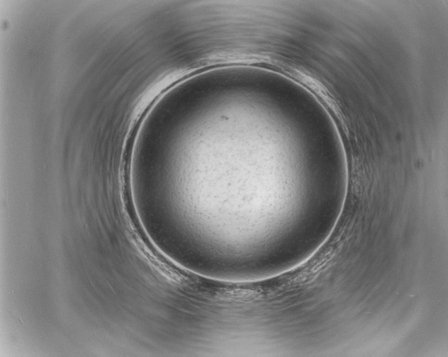 X0000060741187200511141125