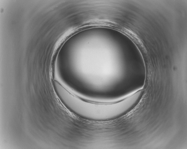 X0000060741188200511141125