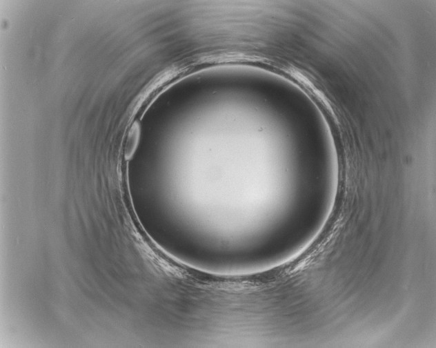 X0000060741189200511141125