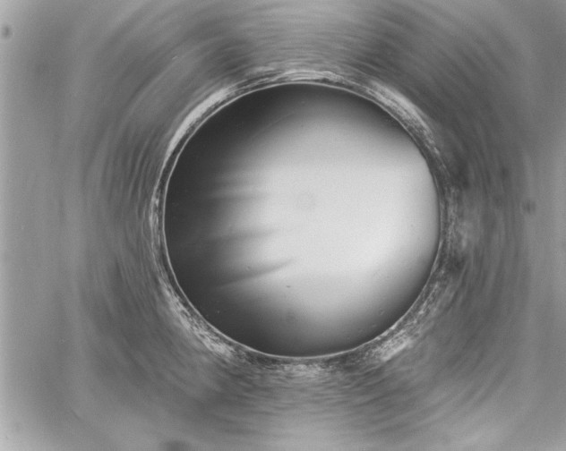 X0000060741190200511141125