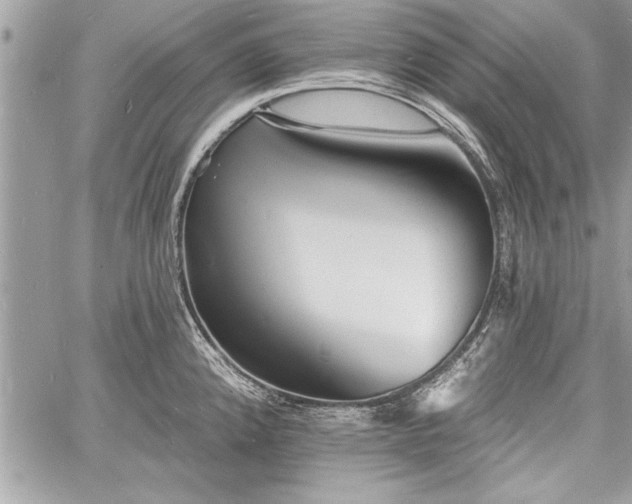 X0000060741192200511141125