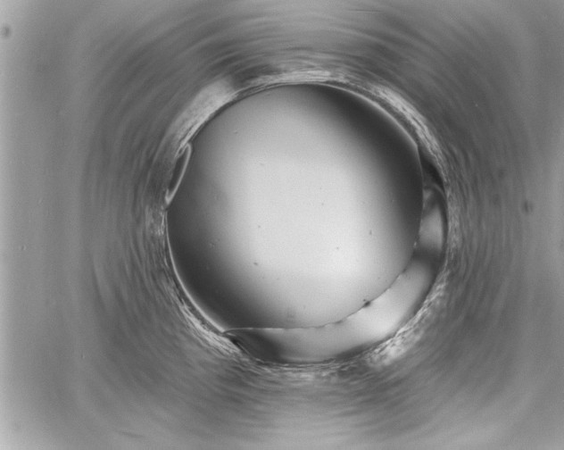 X0000060741193200511141125