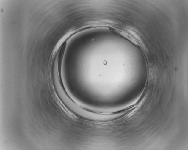 X0000060741196200511141125