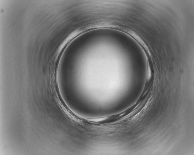 X0000060741197200511141125