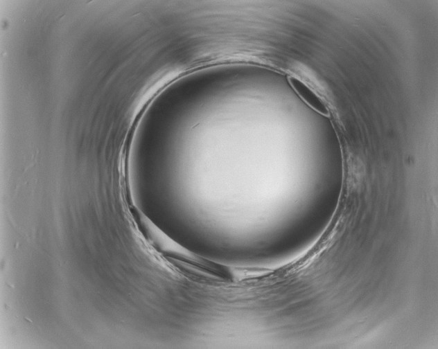 X0000060741198200511141125