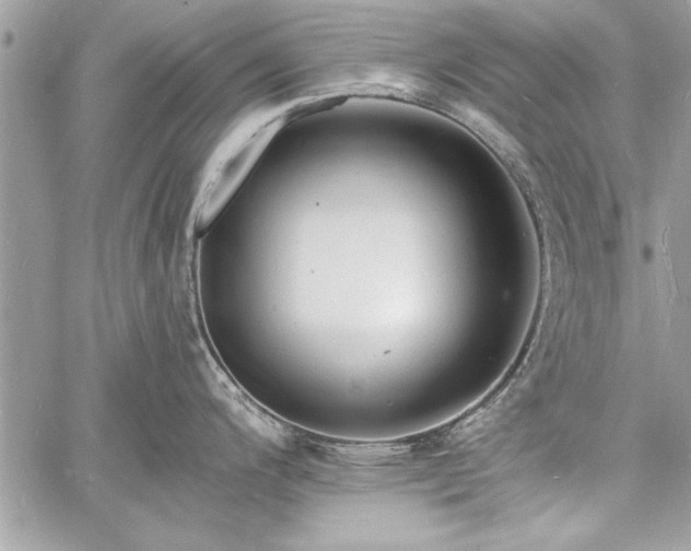 X0000060741200200511141125