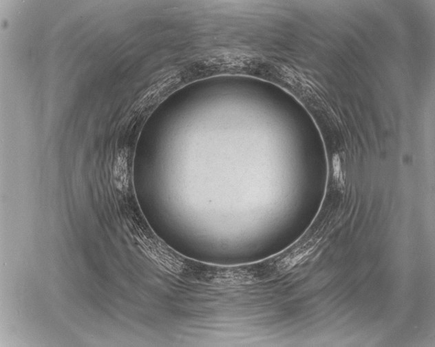 X0000060741203200511141124