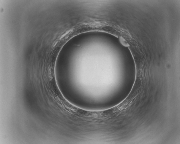 X0000060741205200511141124