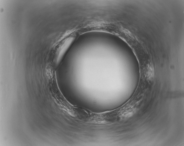 X0000060741206200511141124